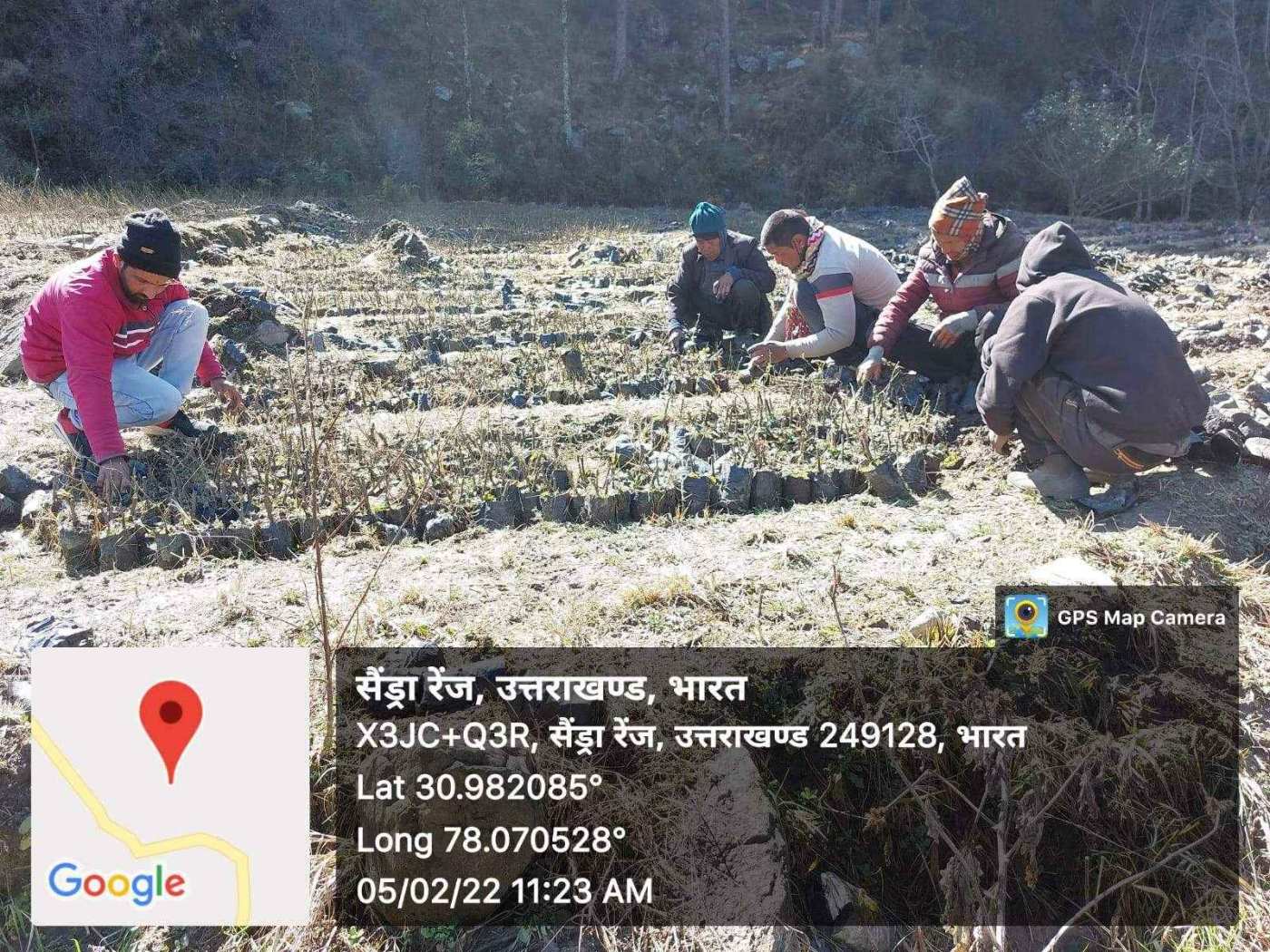 A team planting saplings in prepared rows at Saindra Range