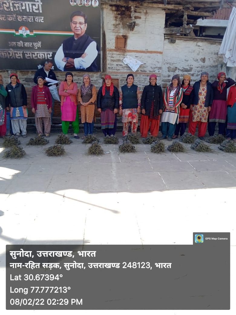Village women standing beside bundles of saplings distributed at Sunoda, Uttarakhand